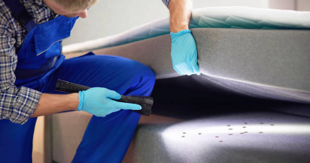 Best Emergency Pest Control  in Tennessee Ridge, TN