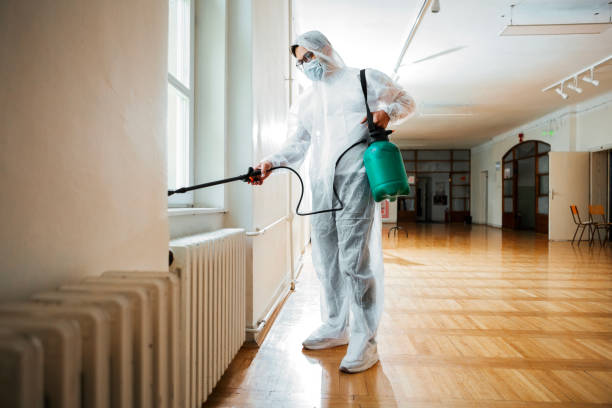 Best Local Pest Control Services  in Tennessee Ridge, TN
