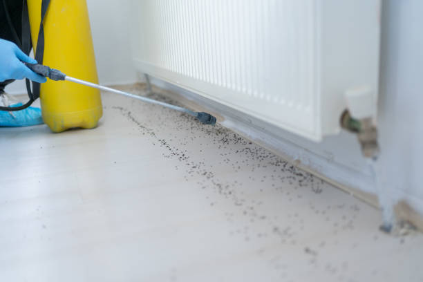 Best Affordable Pest Control Services  in Tennessee Ridge, TN