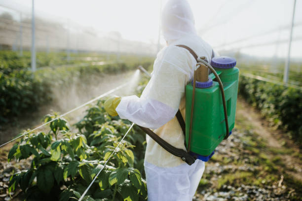 Best Best Pest Control Companies  in Tennessee Ridge, TN